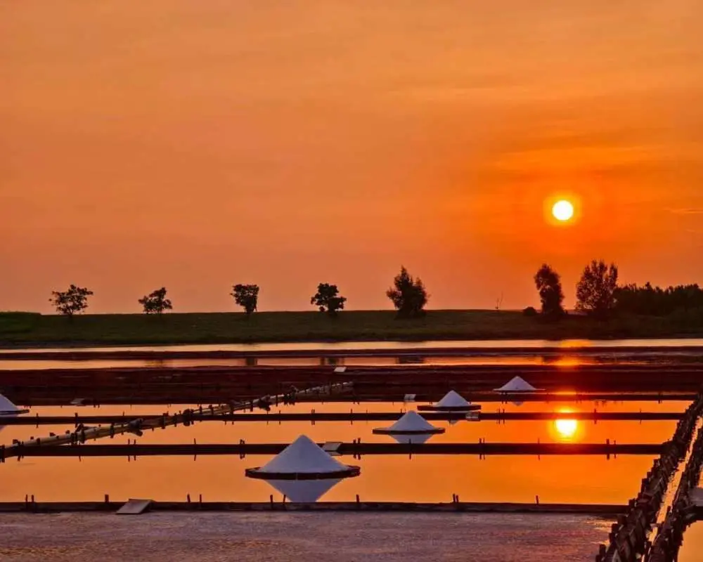 東石鹽田夕陽景色